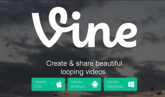 Vine Versi Web Akhirnya Hadir Secara Resmi