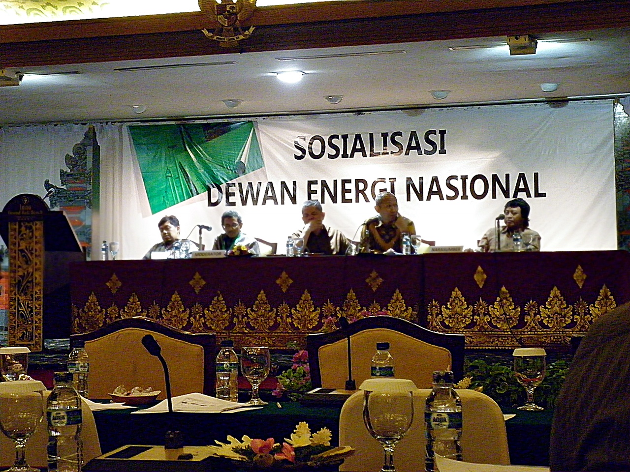 Dewan Energi Nasional (DEN)