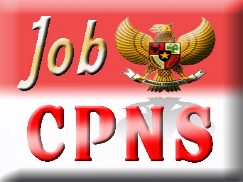 Pendaftaran CPNS 2014: Panselnas Melayani Hingga Desember