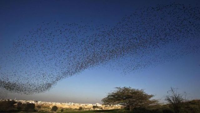 suara terompet dari langit