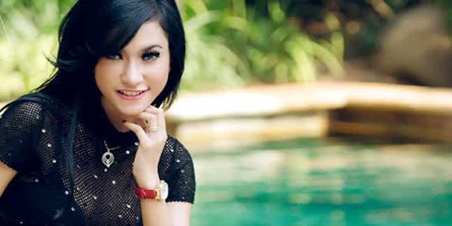 profil amel alvi