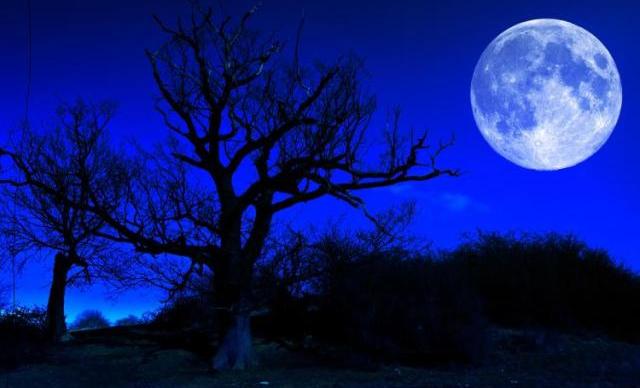 blue moon di indonesia