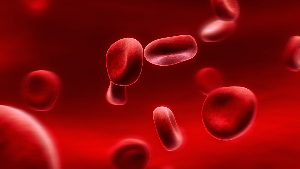red_blood_cells_flying_down_the_blood-stream.1920x1080.27592950