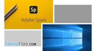 download adobe spark for windows