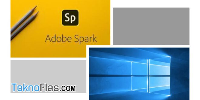 download adobe spark for windows