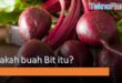 buah bit adalah