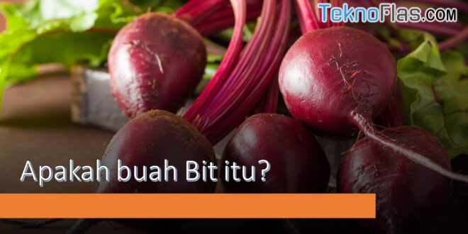 buah bit adalah