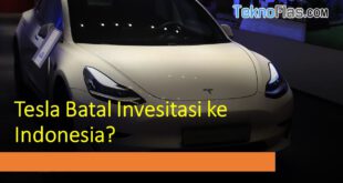 Tesla Batal Invesitasi ke Indonesia