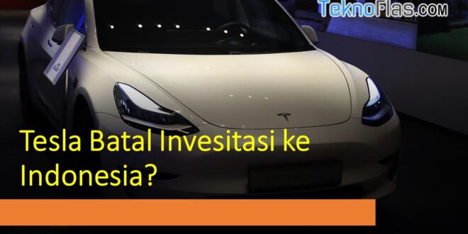 Tesla Batal Invesitasi ke Indonesia